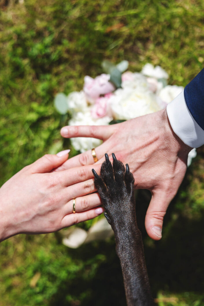 Zwei Hände mit Eheringen und einer Hundepfote darüber – Symbolbild für die Familie mit Hund, fotografiert von Christian Roder